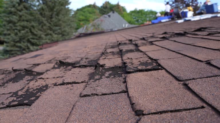 Best Chimney Flashing Repair  in Plattsburgh West, NY