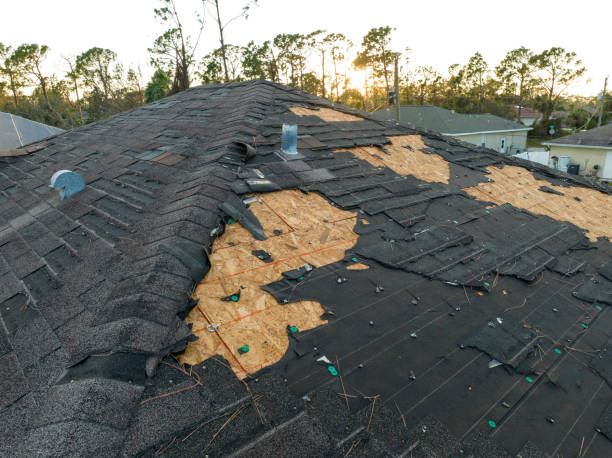 Best Roofing for New Construction  in Plattsburgh West, NY