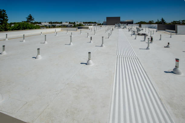 Best Sheet Metal Roofing  in Plattsburgh West, NY